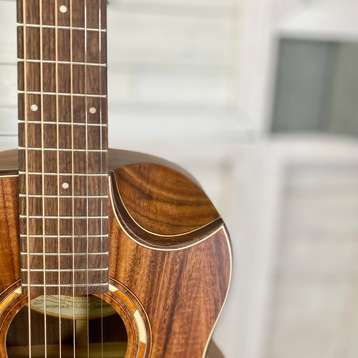 Washburn COMFORT G-MINI 55 KOA Acoustic Guitar With Gigbag