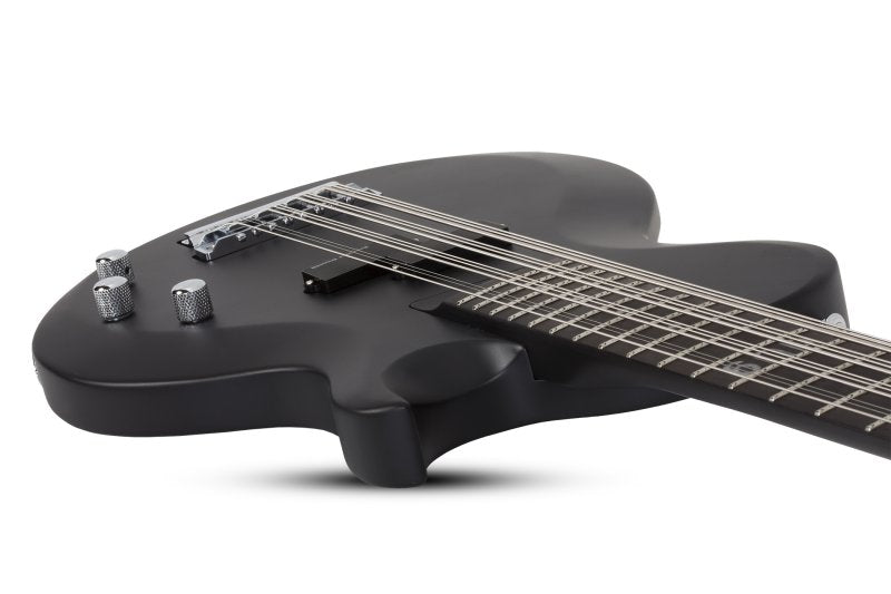 Schecter dUg Pinnick DP-12 12 String Bass in Satin Black