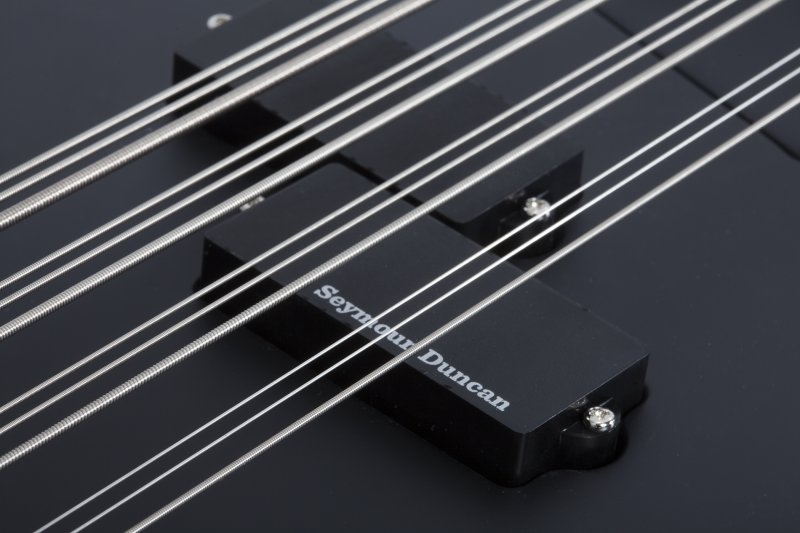 Schecter dUg Pinnick DP-12 12 String Bass in Satin Black