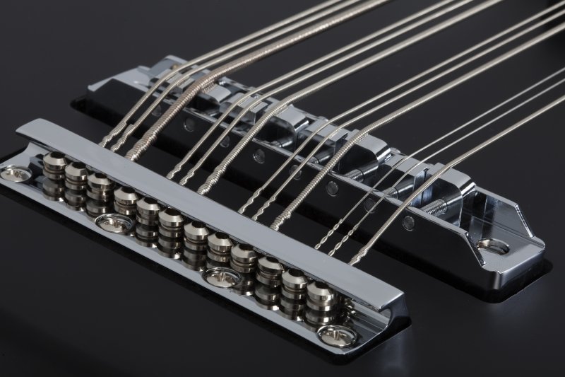 Schecter dUg Pinnick DP-12 12 String Bass in Satin Black