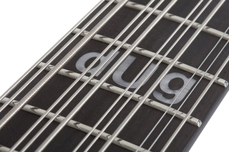Schecter dUg Pinnick DP-12 12 String Bass in Satin Black