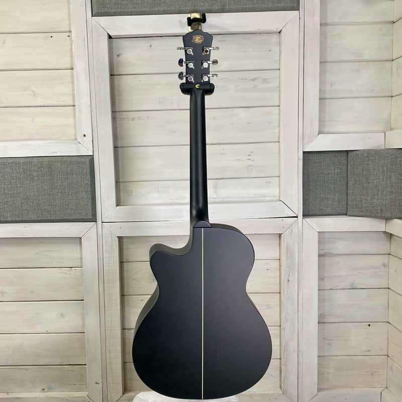 Washburn DFEACE Deep Forest Auditorium Electric Acoustic Guitar Striped Ebony