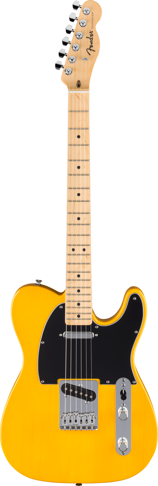 Fender Standard Telecaster in Butterscotch Blonde