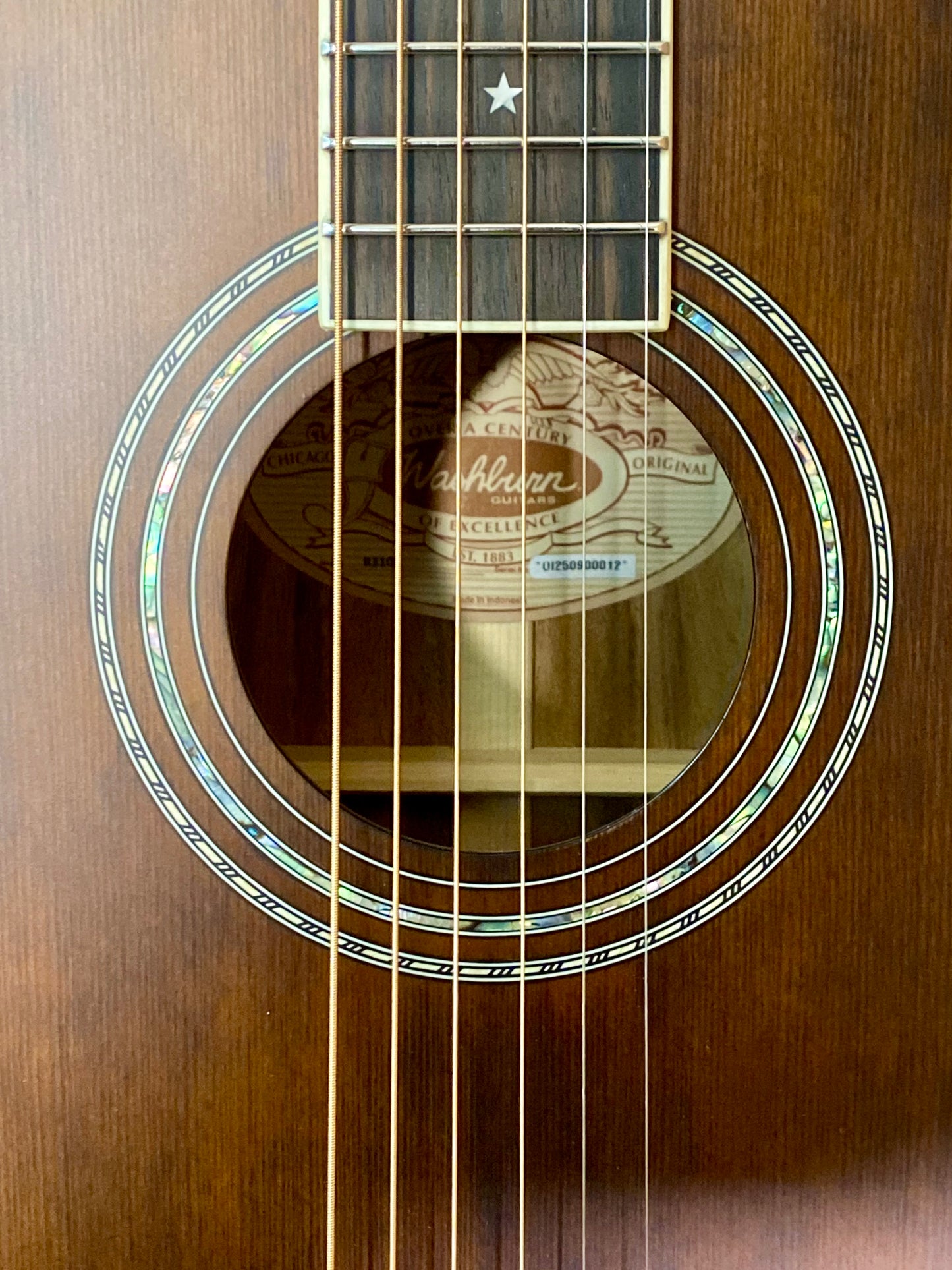 Washburn R310K Victorian Vintage Parlor Acoustic Guitar in Natural Antique Matte Finish – view 7