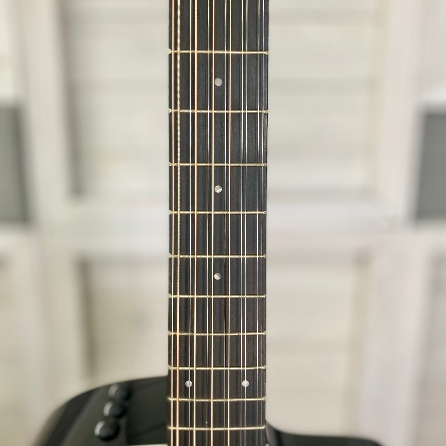 Taylor Guitars 250ce-BLK Plus Maple/ Spruce Electric Acoustic 12 String Guitar in Black – view 4