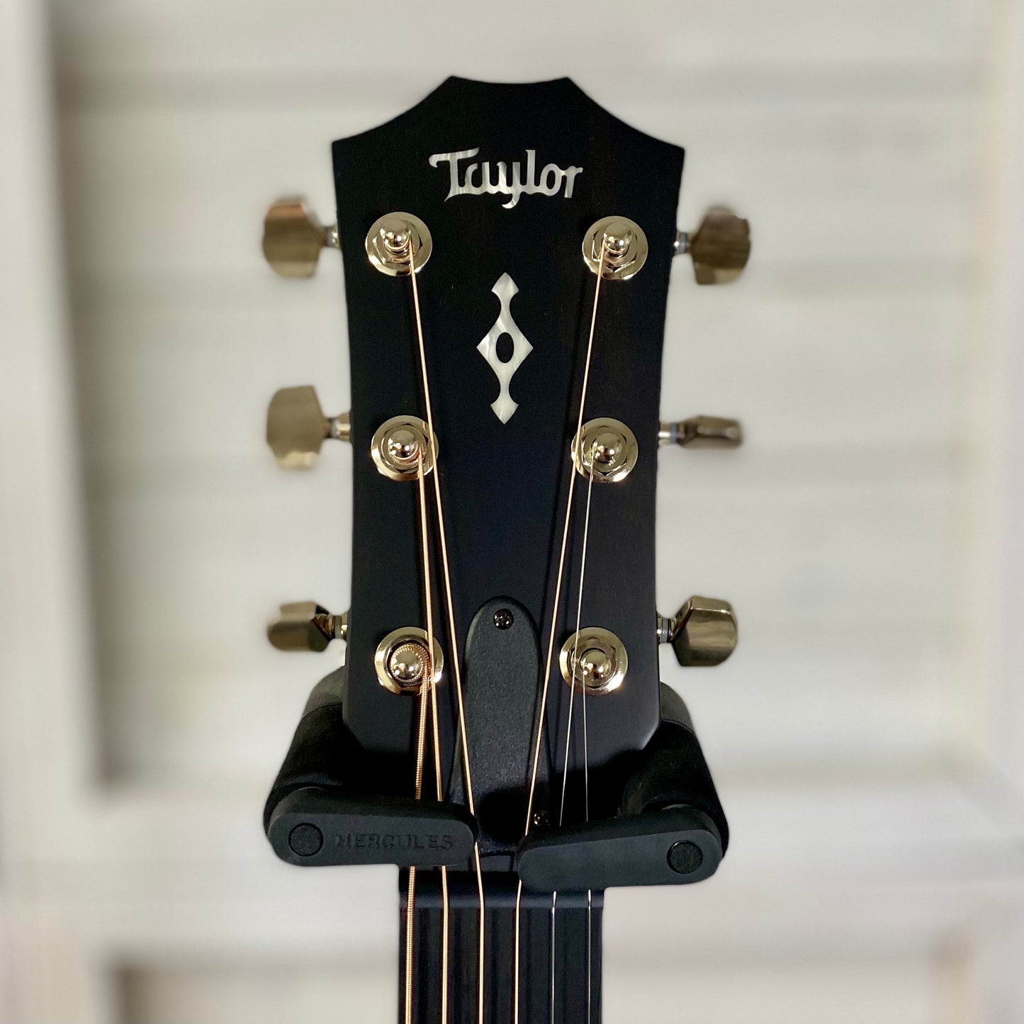 Taylor Next Generation 414ce Indian Rosewood/ Sitka Electric Acoustic Guitar – view 2