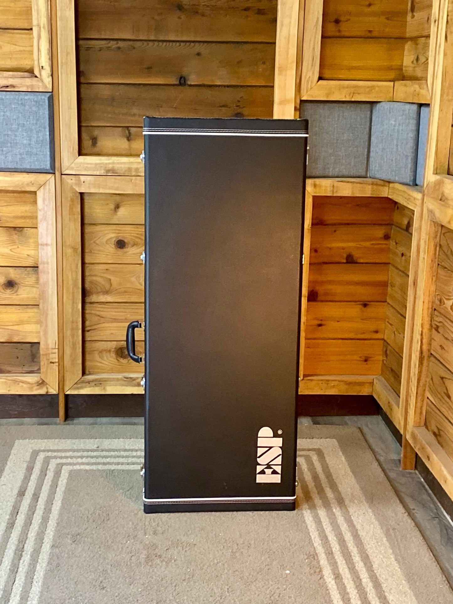 LTD KH-V Kirk Hammett in Metallic Gold With Deluxe ESP Hardcase