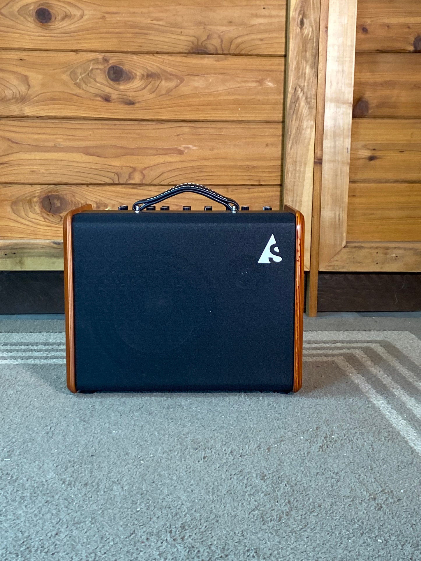 Godin Acoustic Solutions ASG-8 Wood 120 with Gigbag USED