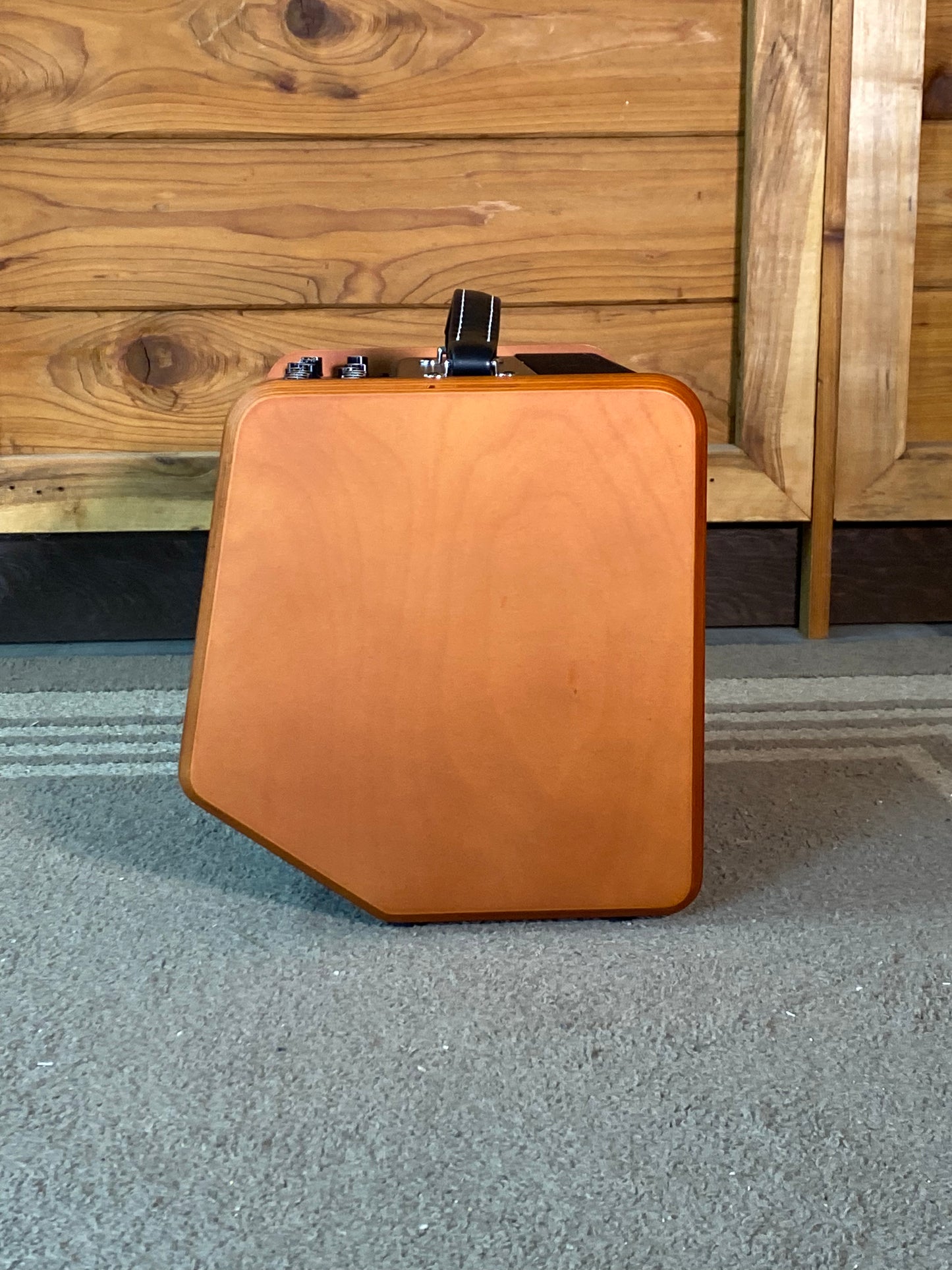 Godin Acoustic Solutions ASG-8 Wood 120 with Gigbag USED