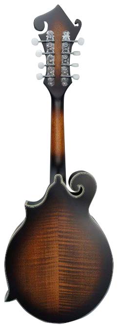 Washburn Americana M3SEBRK F-Style Solid Top Mandolin With Pickup in Satin Finish