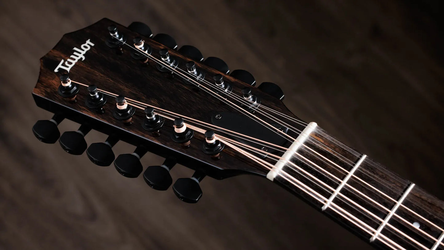 Taylor Guitars 250ce-BLK Plus Maple/ Spruce Electric Acoustic 12 String Guitar in Black