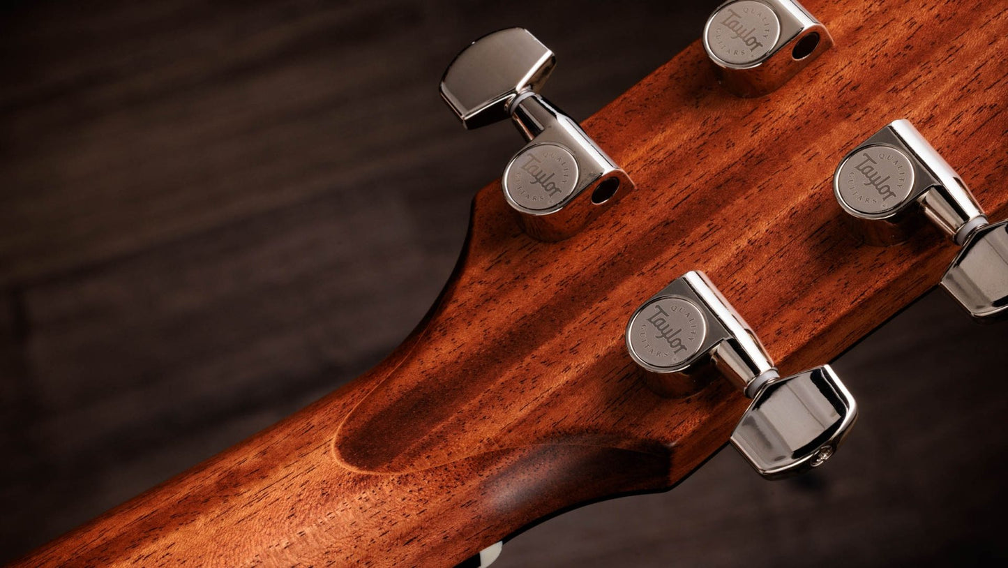 Taylor Gold Label 514e Super Auditorium Electric Acoustic Guitar to Order