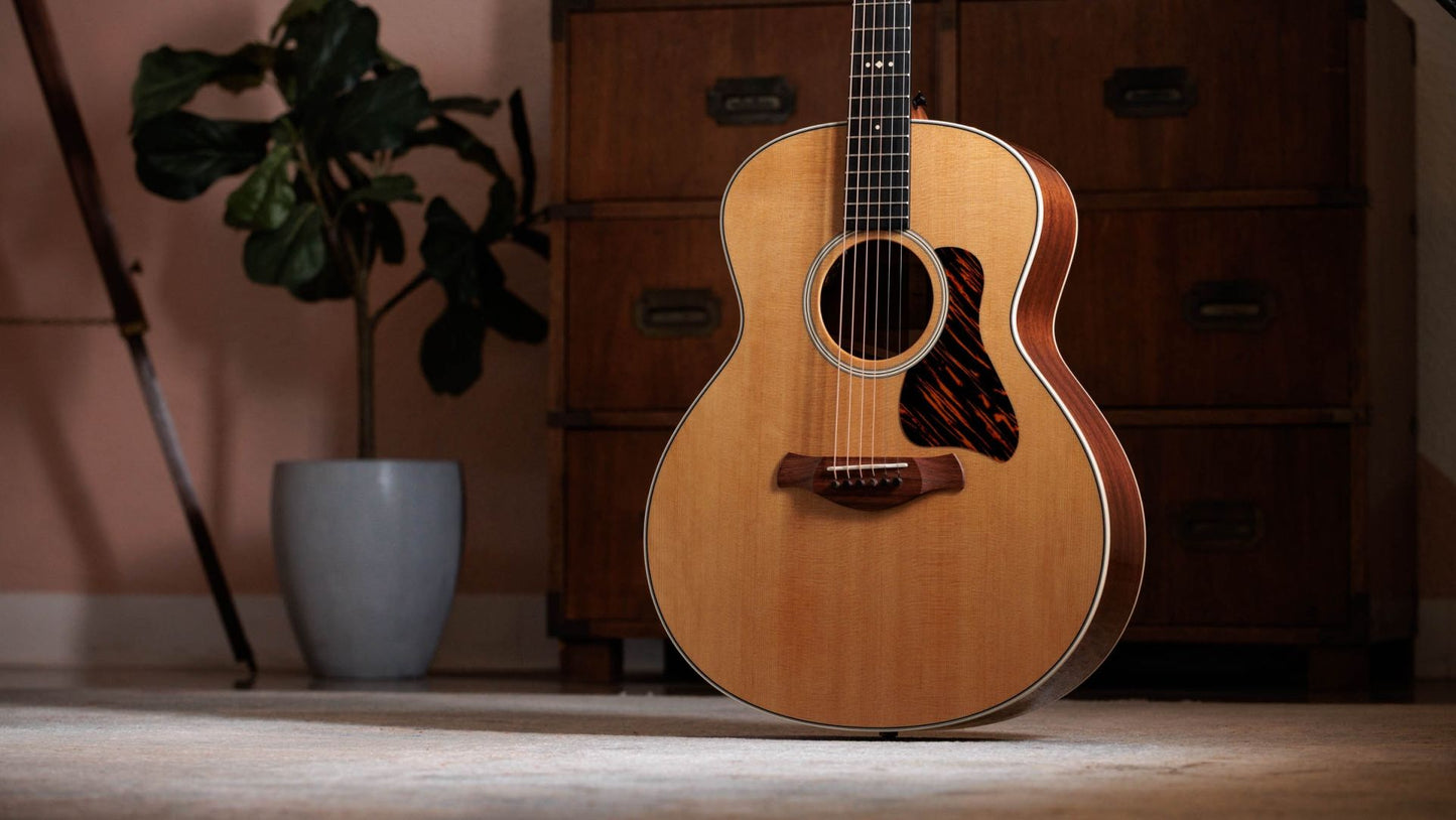 Taylor Gold Label 514e Super Auditorium Electric Acoustic Guitar to Order