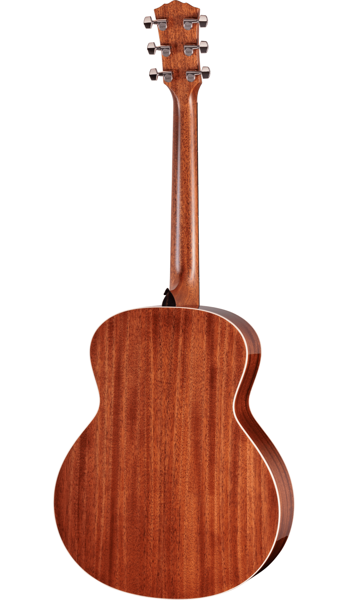 Taylor Gold Label 514e Super Auditorium Blacktop To Order