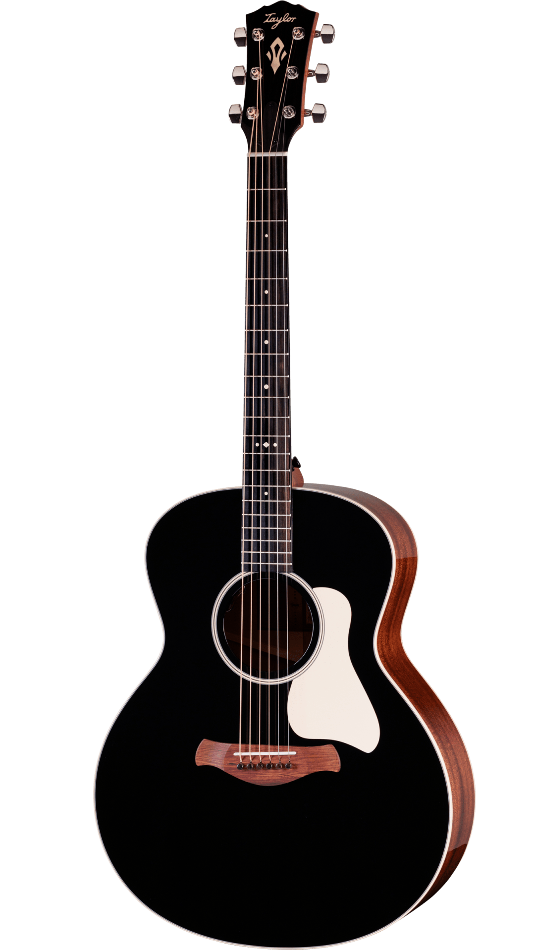 Taylor Gold Label 514e Super Auditorium Blacktop