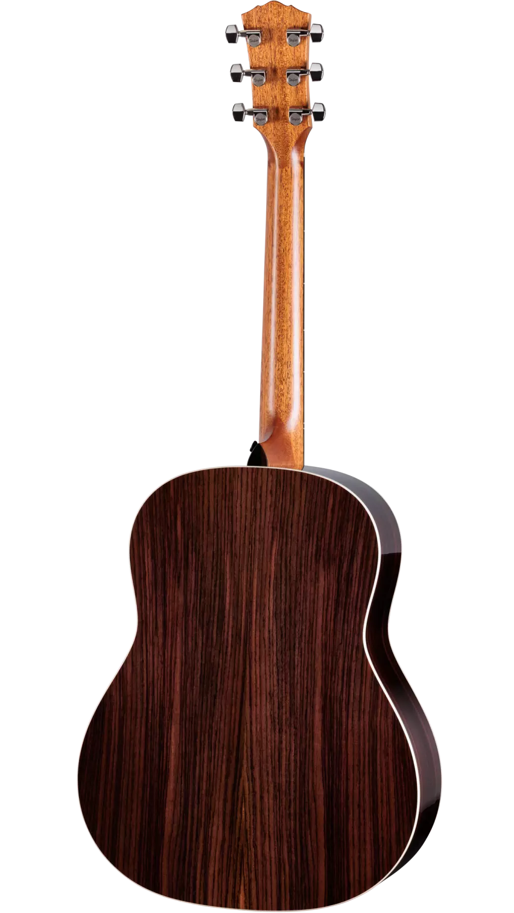 Taylor Gold Label 717e Electric Acoustic Guitar