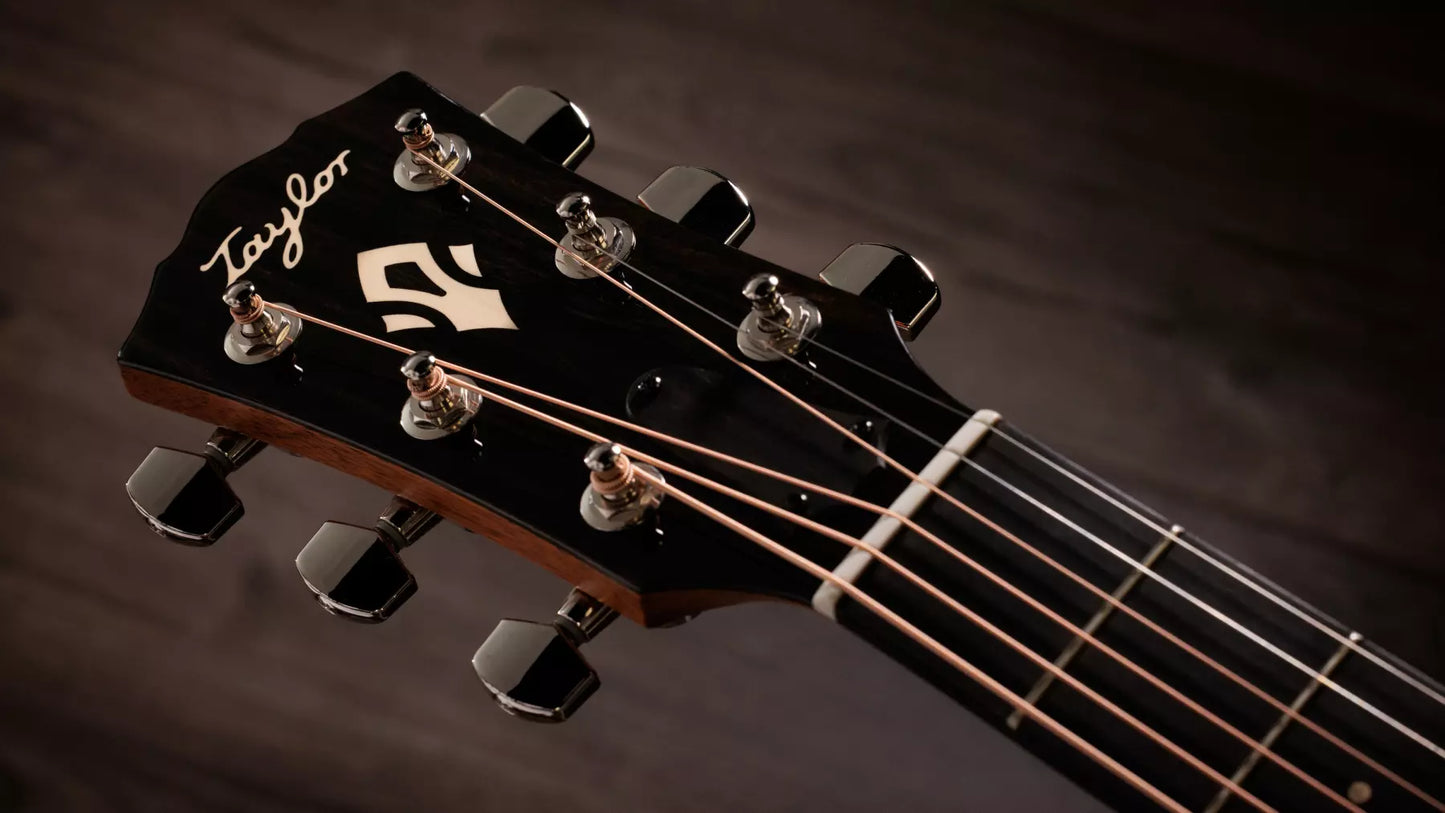 Taylor Gold Label 717e Electric Acoustic Guitar to Order