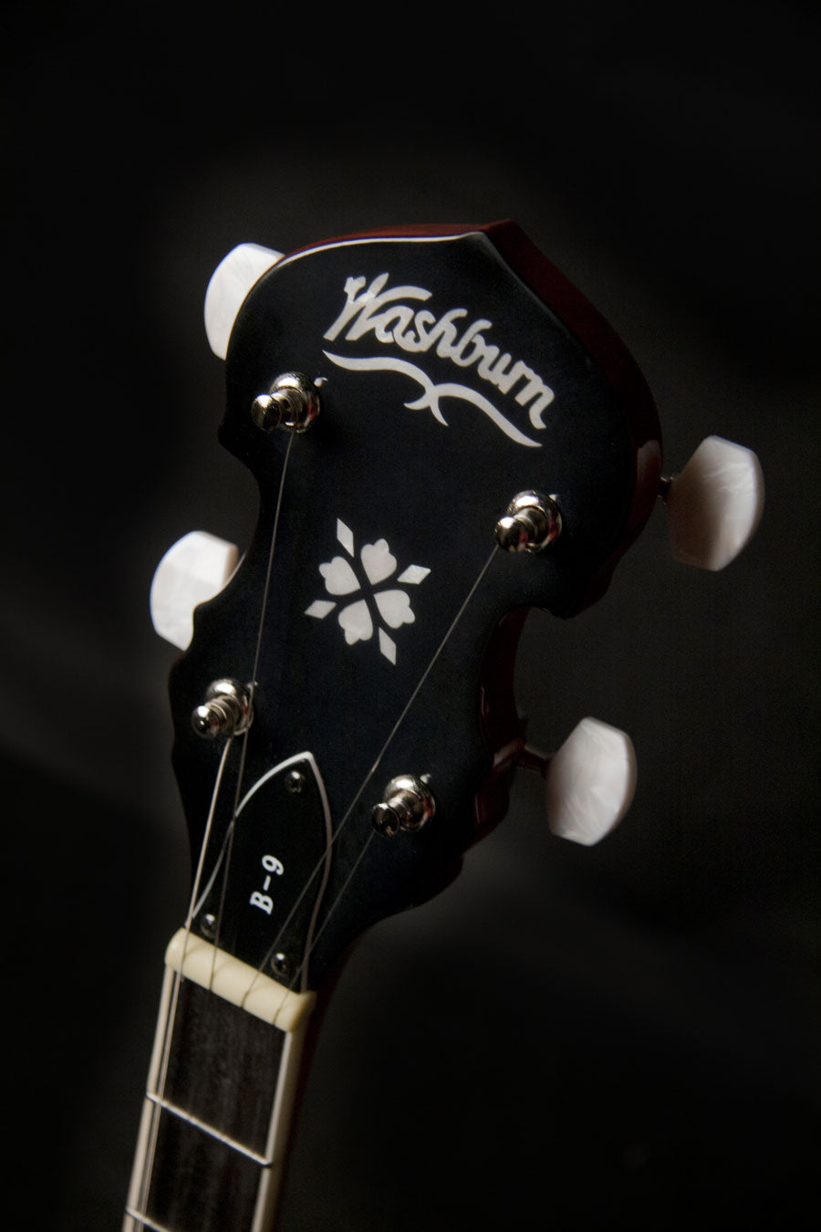 Washburn Americana B9-WSH-A Banjo