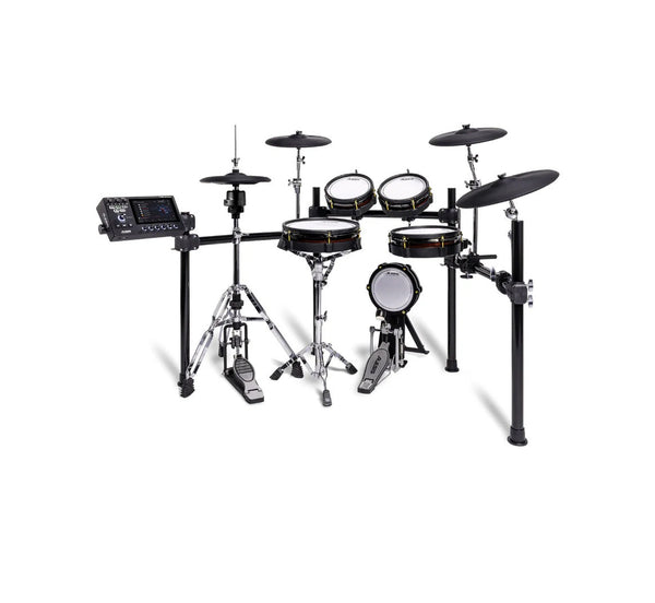 Drums & Percussion