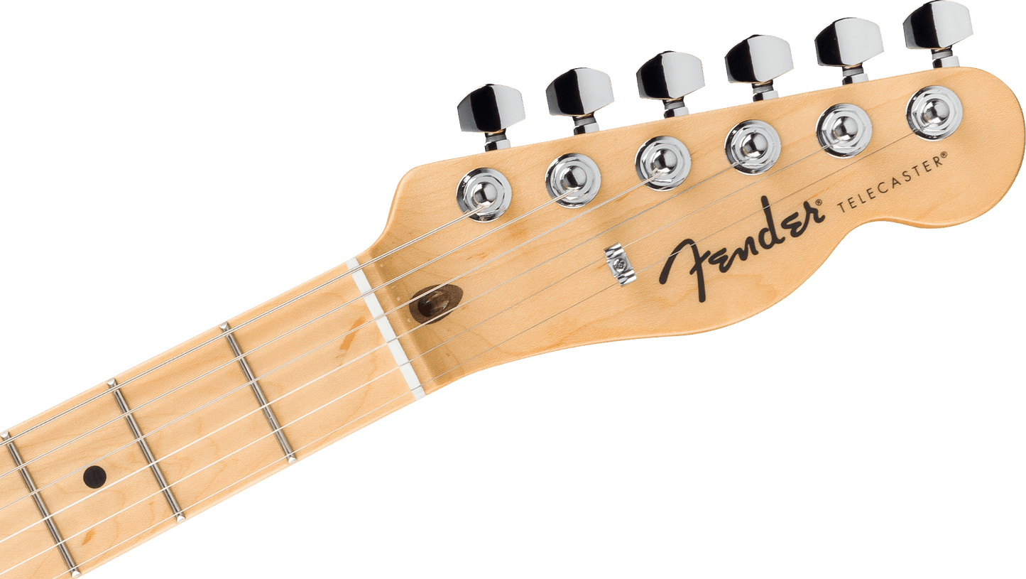 Fender Standard Telecaster in Butterscotch Blonde