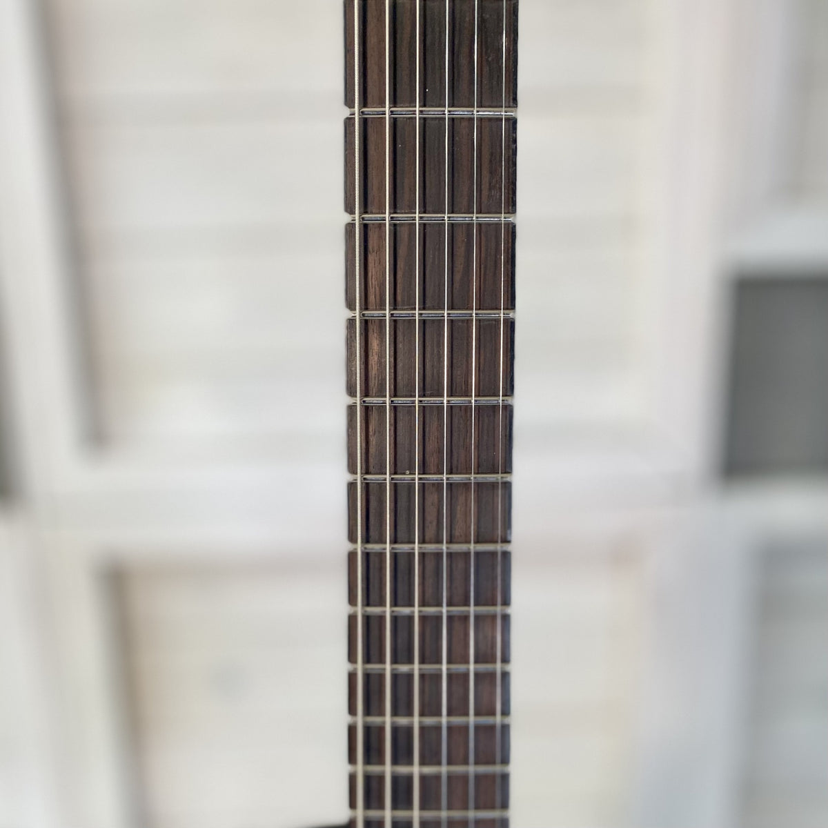 LTD EC Black Metal Macassar ebony fingerboard with no inlays