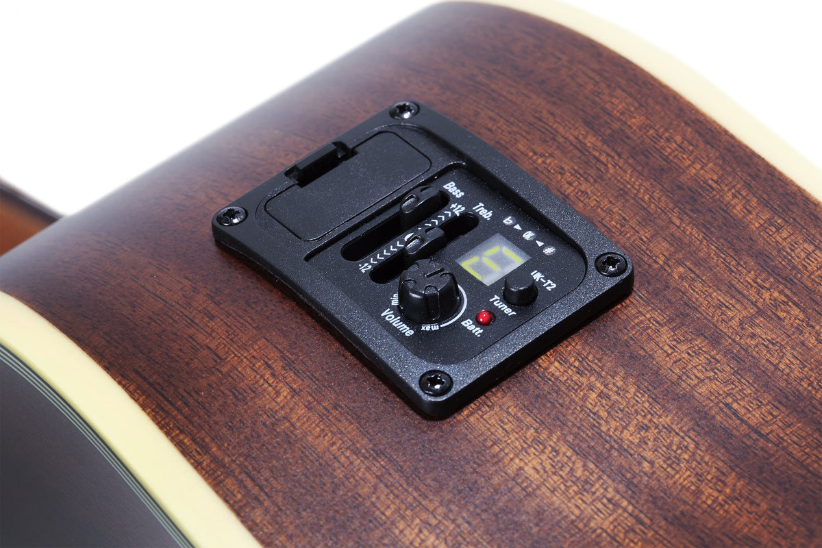 Wylde Audio Pro EQ with tuner