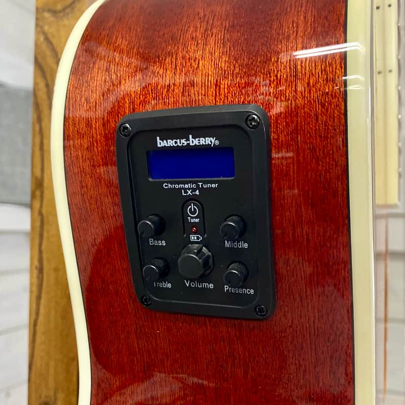 Washburn Deep Forest Burl Electric Acoustic Guitar in Amber Fade
