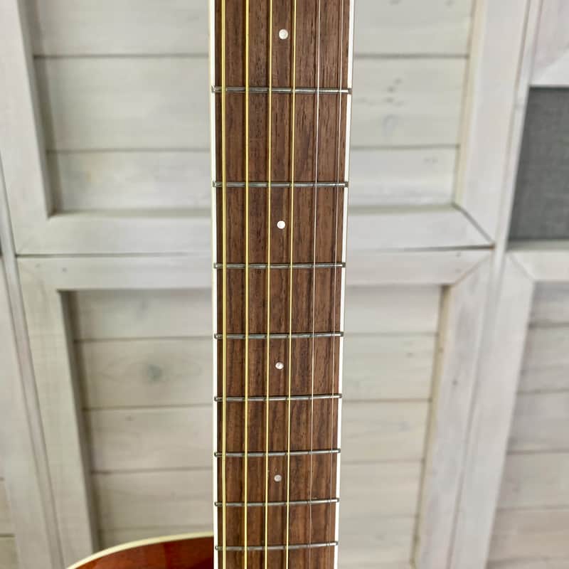 Washburn Deep Forest Burl Electric Acoustic Guitar in Amber Fade
