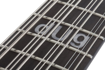 Schecter dUg Pinnick DP-12 12 String Bass in Satin Black