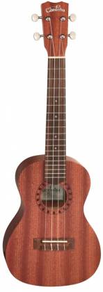 Cordoba UP100 Ukulele Pack Concert Ukulele with Case, Tuner, and Picks