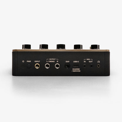 Positive Grid Spark Pedal