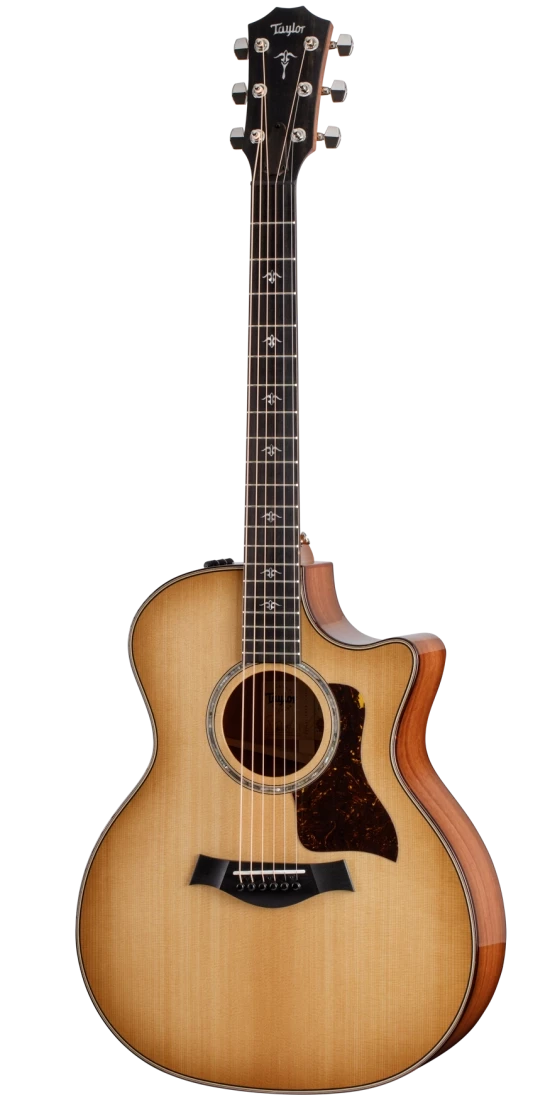 Taylor Guitars 514ce Urban Ironbark Grand Auditorium Acoustic-Electric Guitar w/ES2 and Case