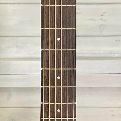 Washburn DFEACE Deep Forest Auditorium Electric Acoustic Guitar Striped Ebony