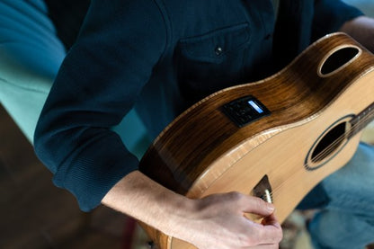 Washburn Bella Tono Suprema Electric Acoustic Guitar in Natural Gloss