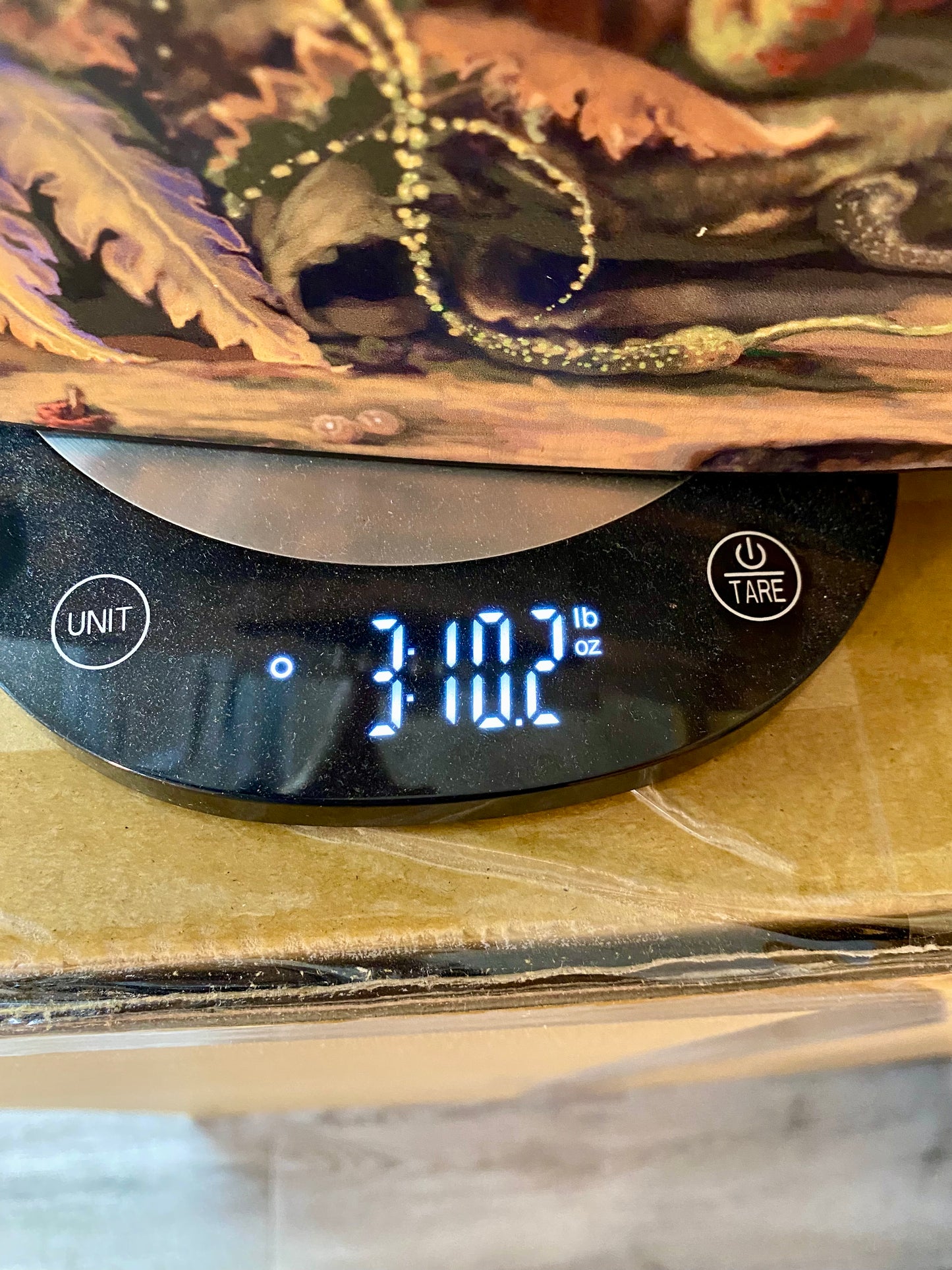 Martin 00L Oliver Special Editions Sloped Shoulder 00-14 Fret Acoustic Guitar