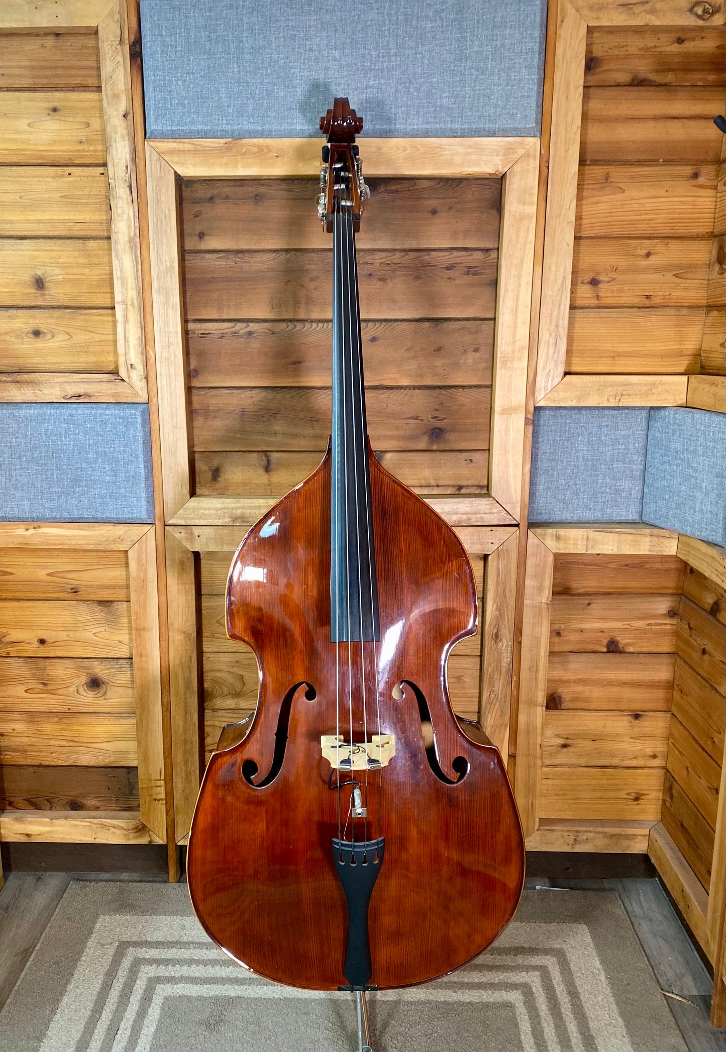 Schoenbach 3/4 Size Double Bass With Gigbag, Pickup and Stand USED