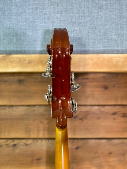 Schoenbach 3/4 Size Double Bass With Gigbag, Pickup and Stand USED