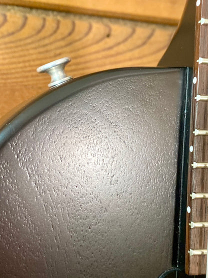 Gibson Les Paul Junior Faded With Softshell Case in Tobacco Burst Satin USA Exclusive