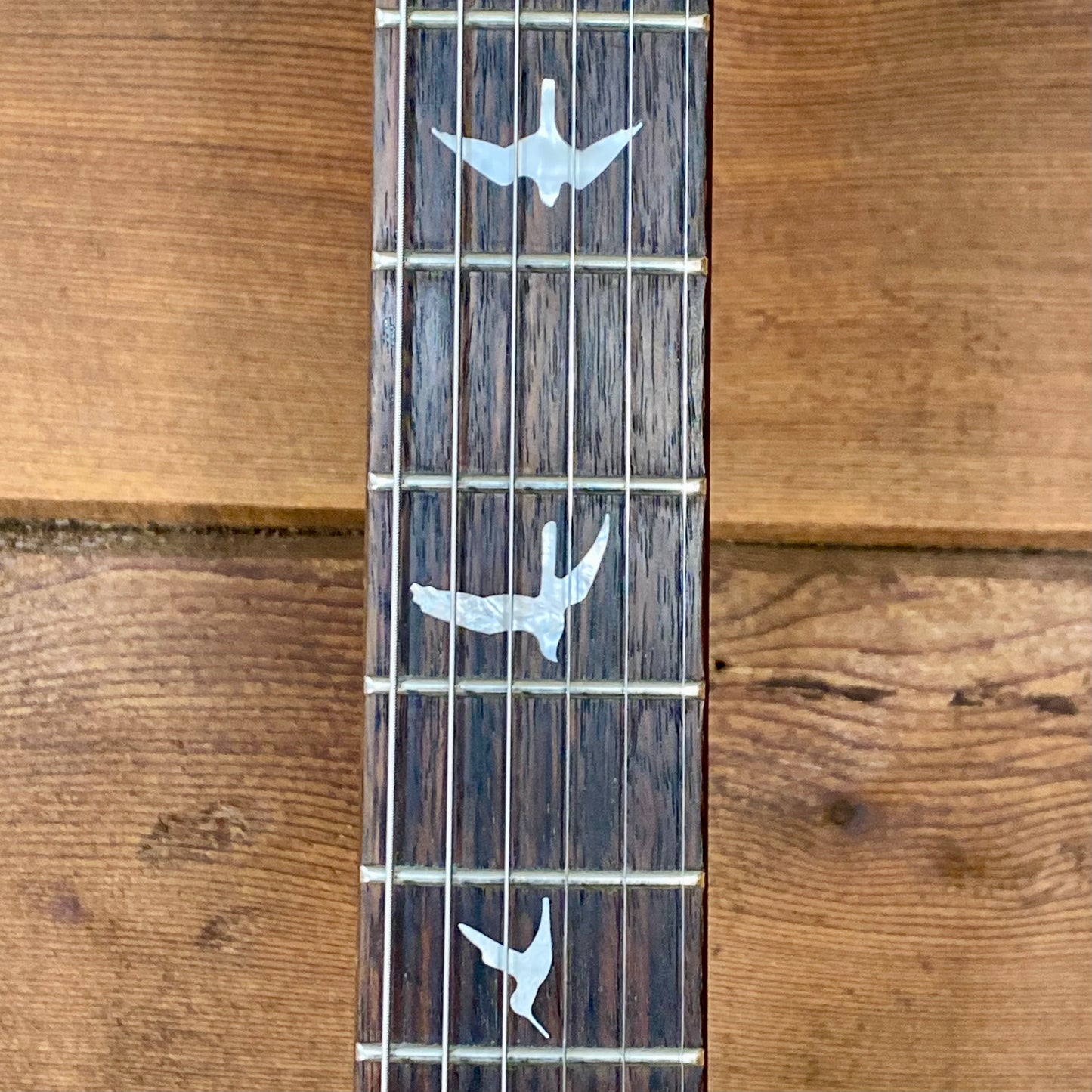 PRS Guitars SE Custom 24-08 Electric Guitar with Gigbag in Eriza Verde  USED