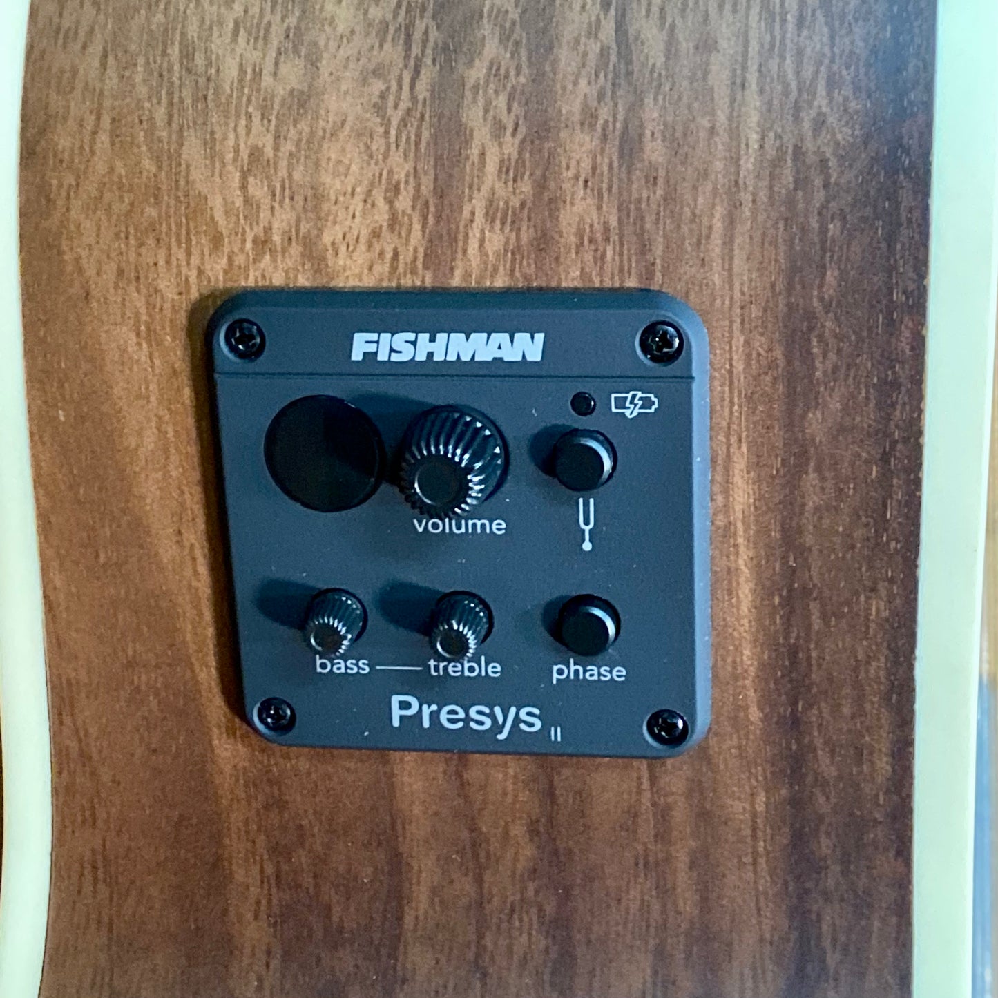 Faith Guitars Nexus Neptune Cutaway Electric/Acoustic Guitar Coffee Brown Slight Flaw