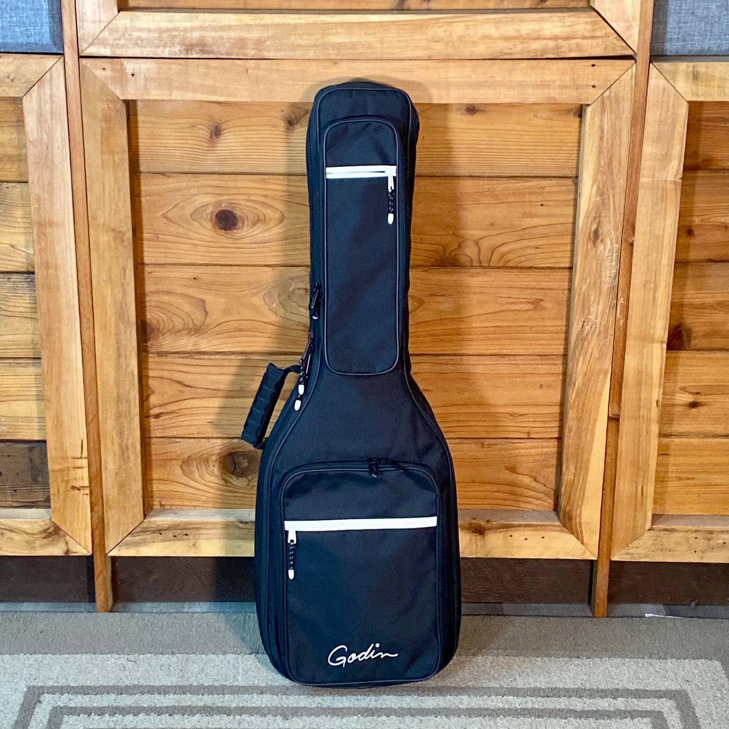 Godin Radium Matte Green With Gigbag USED