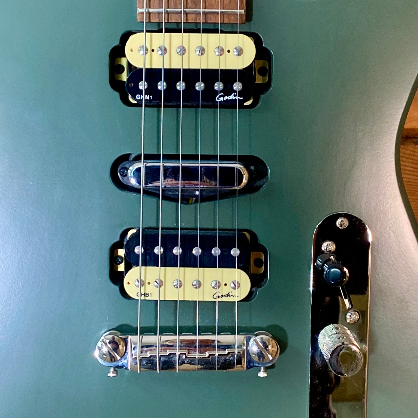 Godin Radium Matte Green With Gigbag USED