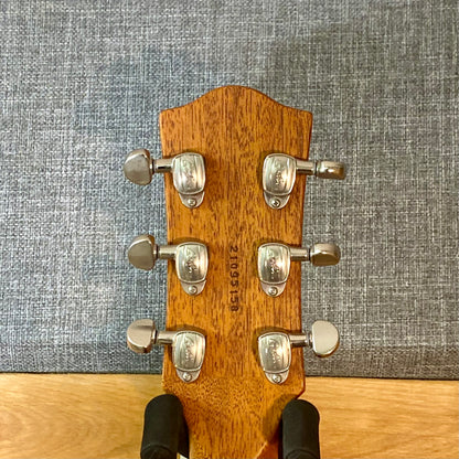 Godin Radium Matte Green With Gigbag USED