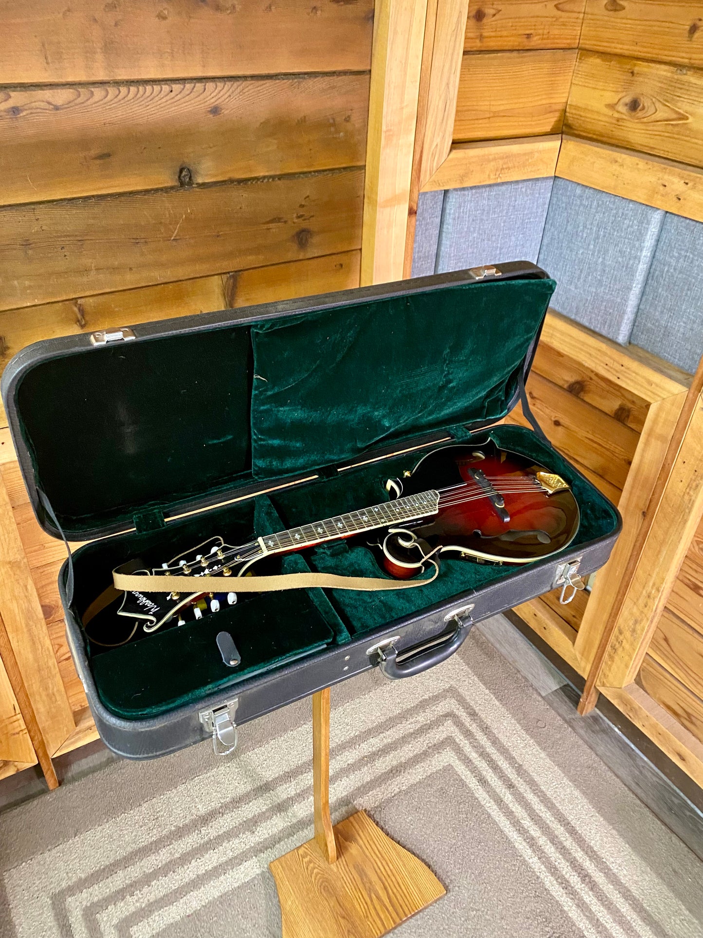 Washburn Electric Acoustic Mandolin With Hardcase All solid woods - Transparent Wine Red USED