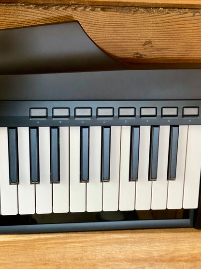 Korg 37-Note Slim Keytar in Black