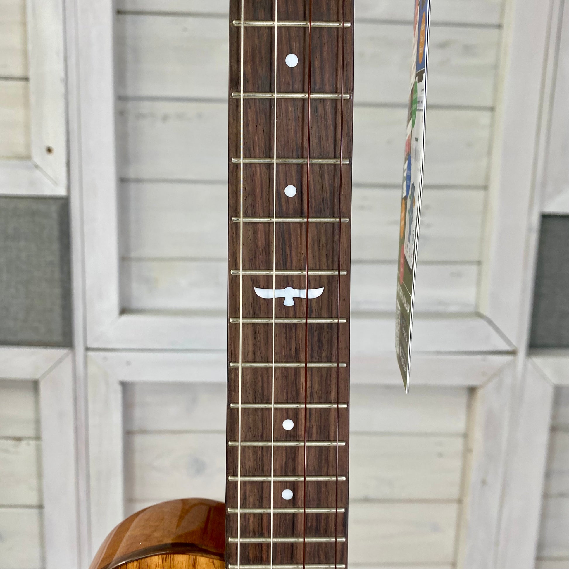KALA Revelator Night Owl Acacia Electric Acoustic Tenor Ukulele With Bag – view 5