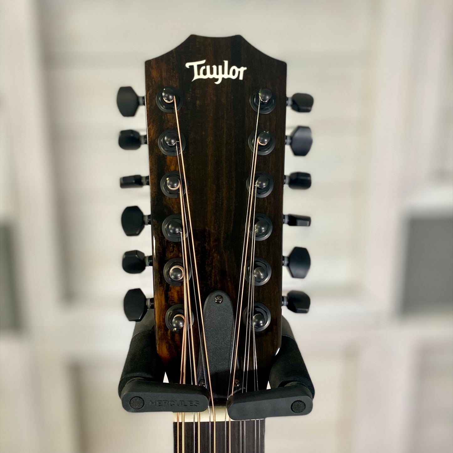 Taylor Guitars 250ce-BLK Plus Maple/ Spruce Electric Acoustic 12 String Guitar in Black – view 2