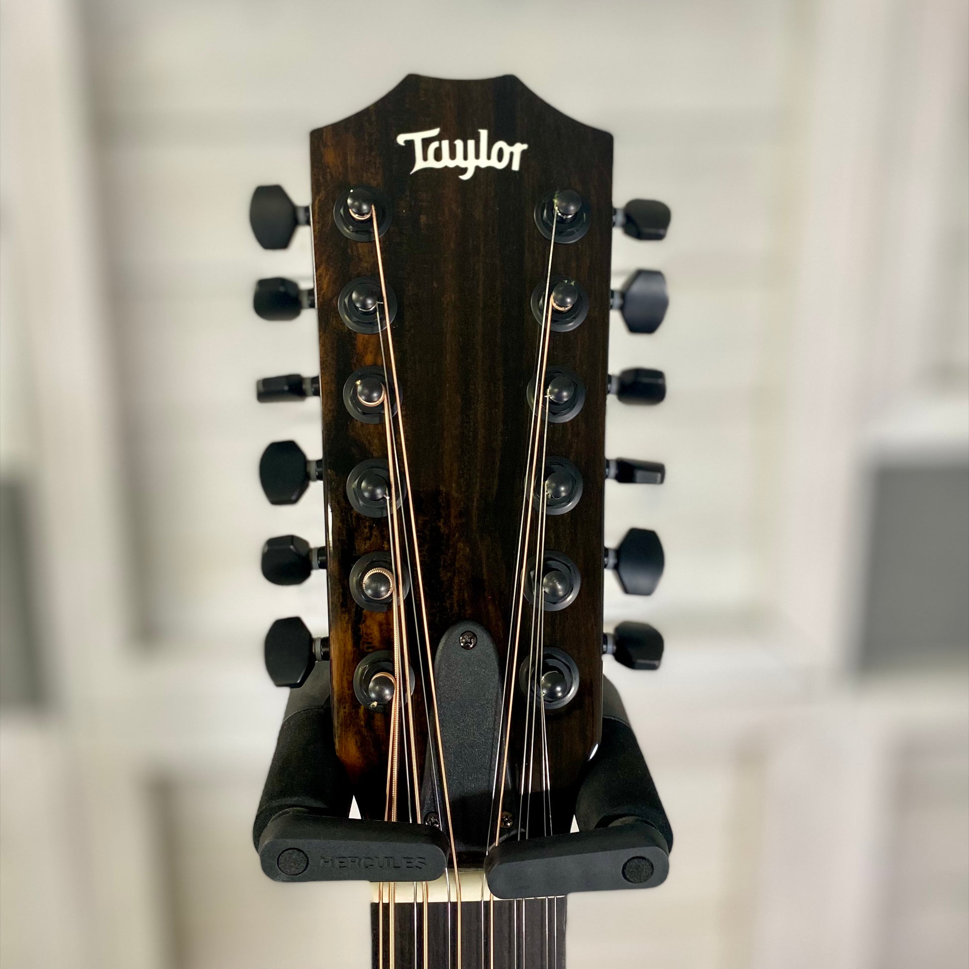 Taylor Guitars 250ce-BLK Plus Maple/ Spruce Electric Acoustic 12 String Guitar in Black – view 2