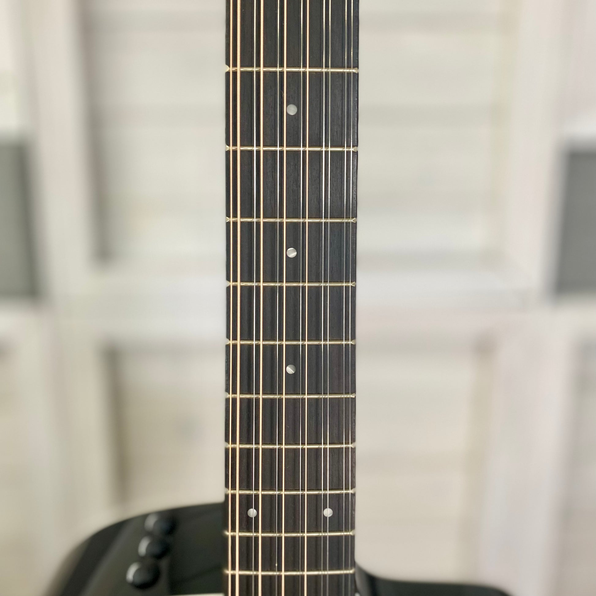Taylor Guitars 250ce-BLK Plus Maple/ Spruce Electric Acoustic 12 String Guitar in Black – view 4