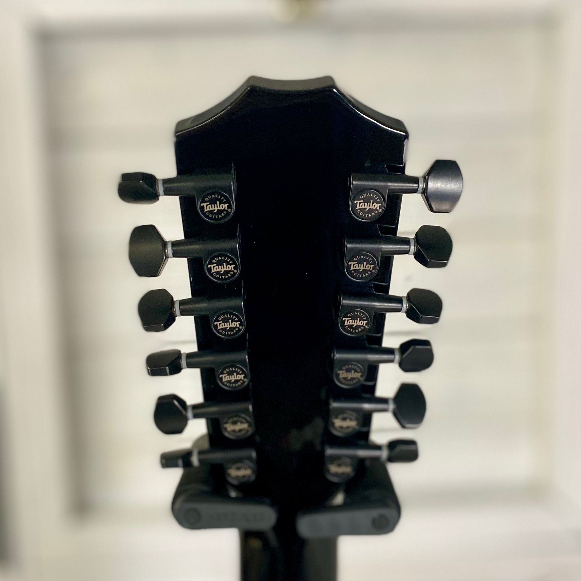 Taylor Guitars 250ce-BLK Plus Maple/ Spruce Electric Acoustic 12 String Guitar in Black – view 8